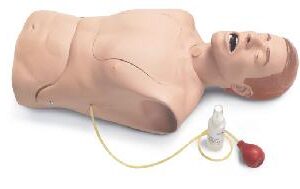 Laerdal Medical Nasogastric Tube and Trach Care Trainer