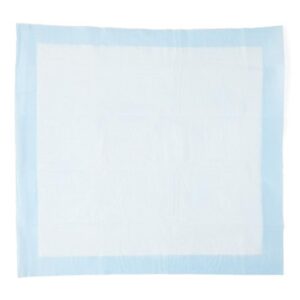 Disposable Underpad Protection Plus? 23 X 24 Inch Fluff Light Absorbency