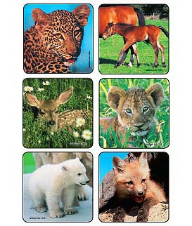 Kids Love Stickers® 90 per Roll Baby Animal Photos , Assorted Sticker 2-1/2 Inch